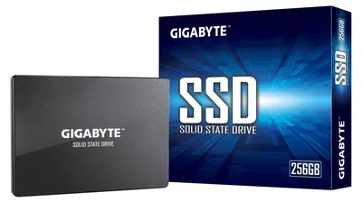 Gigabyte GP-GSTFS31256GTND