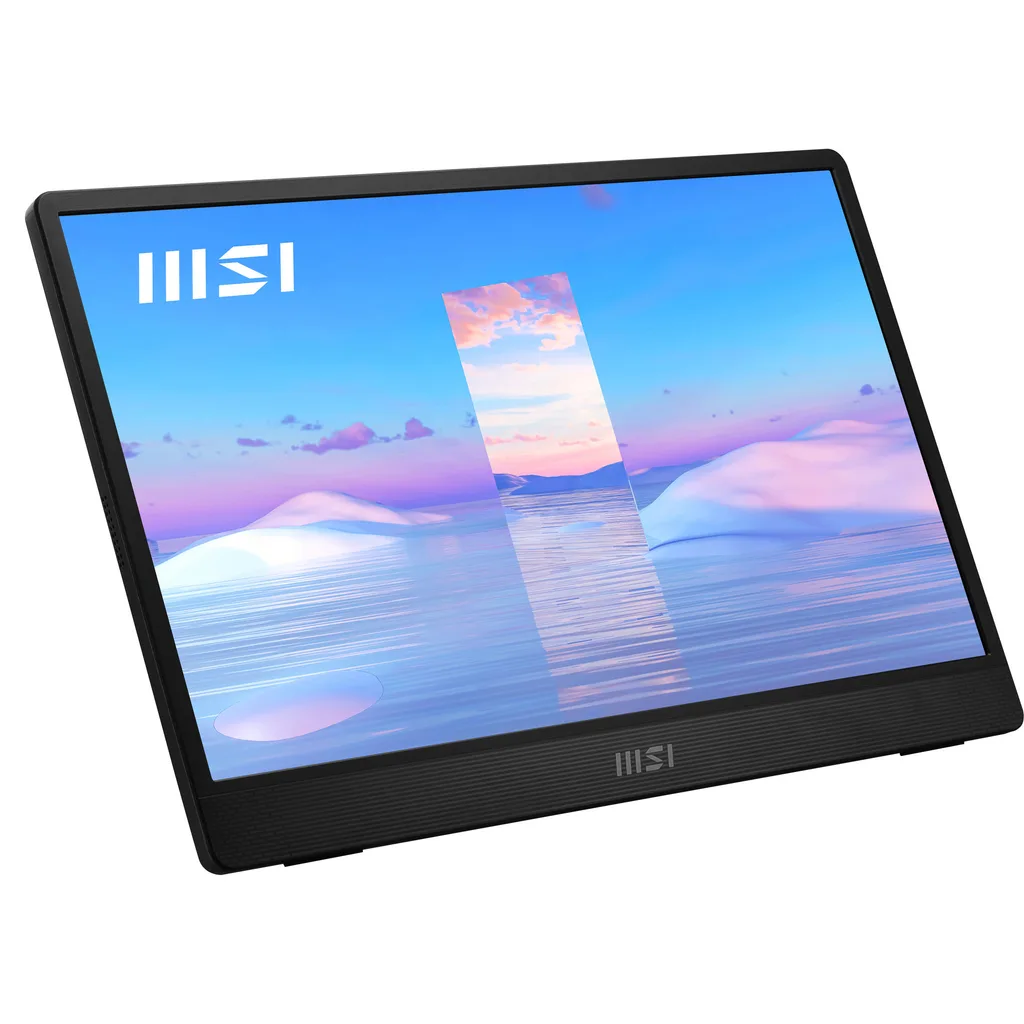 MSI Pro MP161