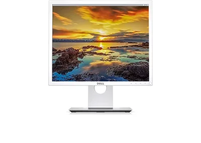 Dell P1917S