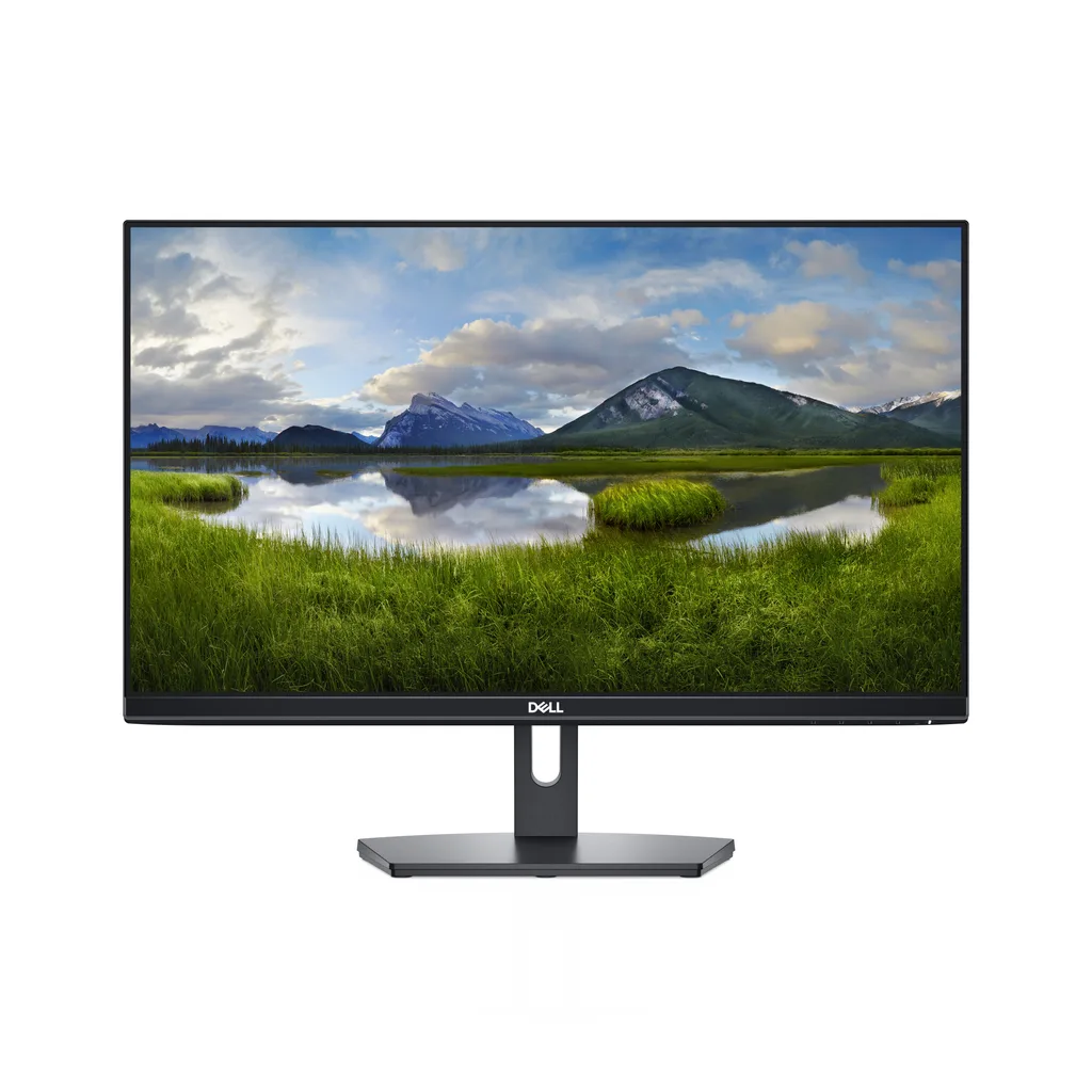 Dell SE2419H
