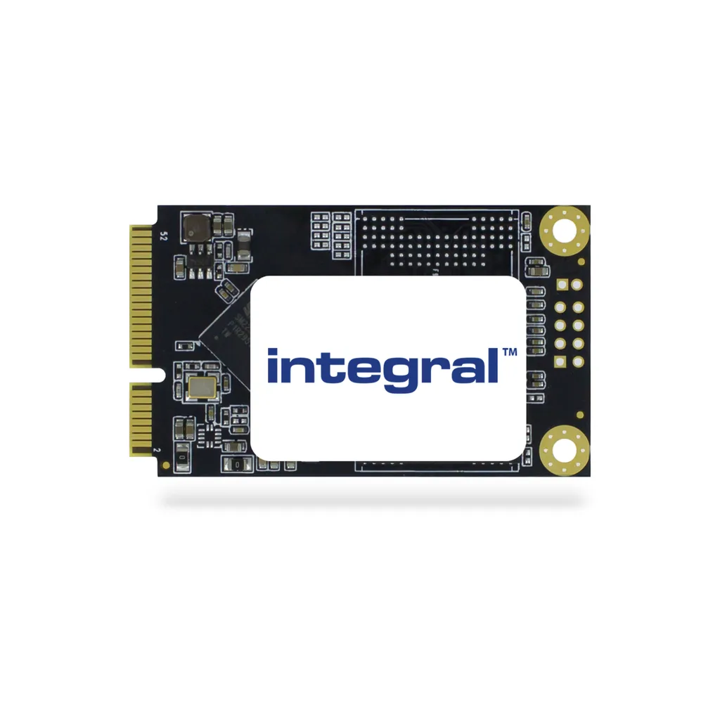Integral MO-300 256GB SSD mSATA