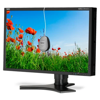 NEC LCD2490W2-BK-SV