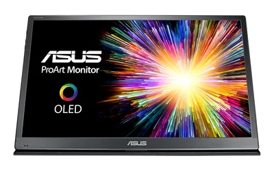 ASUS PQ22UC
