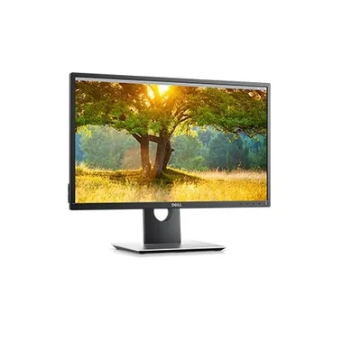 Dell P2417H