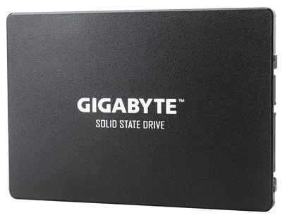 Gigabyte GP-GSTFS31120GNTD