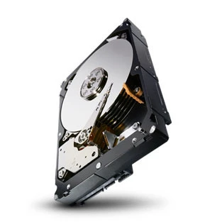 Seagate ST4000NM0024