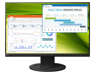 EIZO EV2360 Swiss Edition