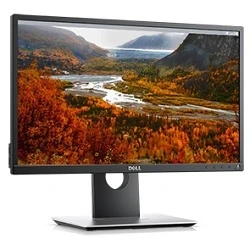 Dell P2217H