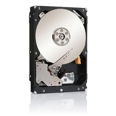Seagate ST500LM000
