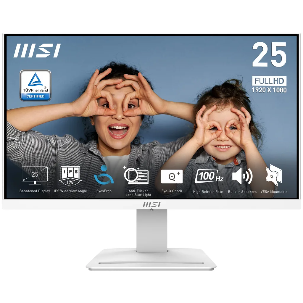 MSI PRO MP253W