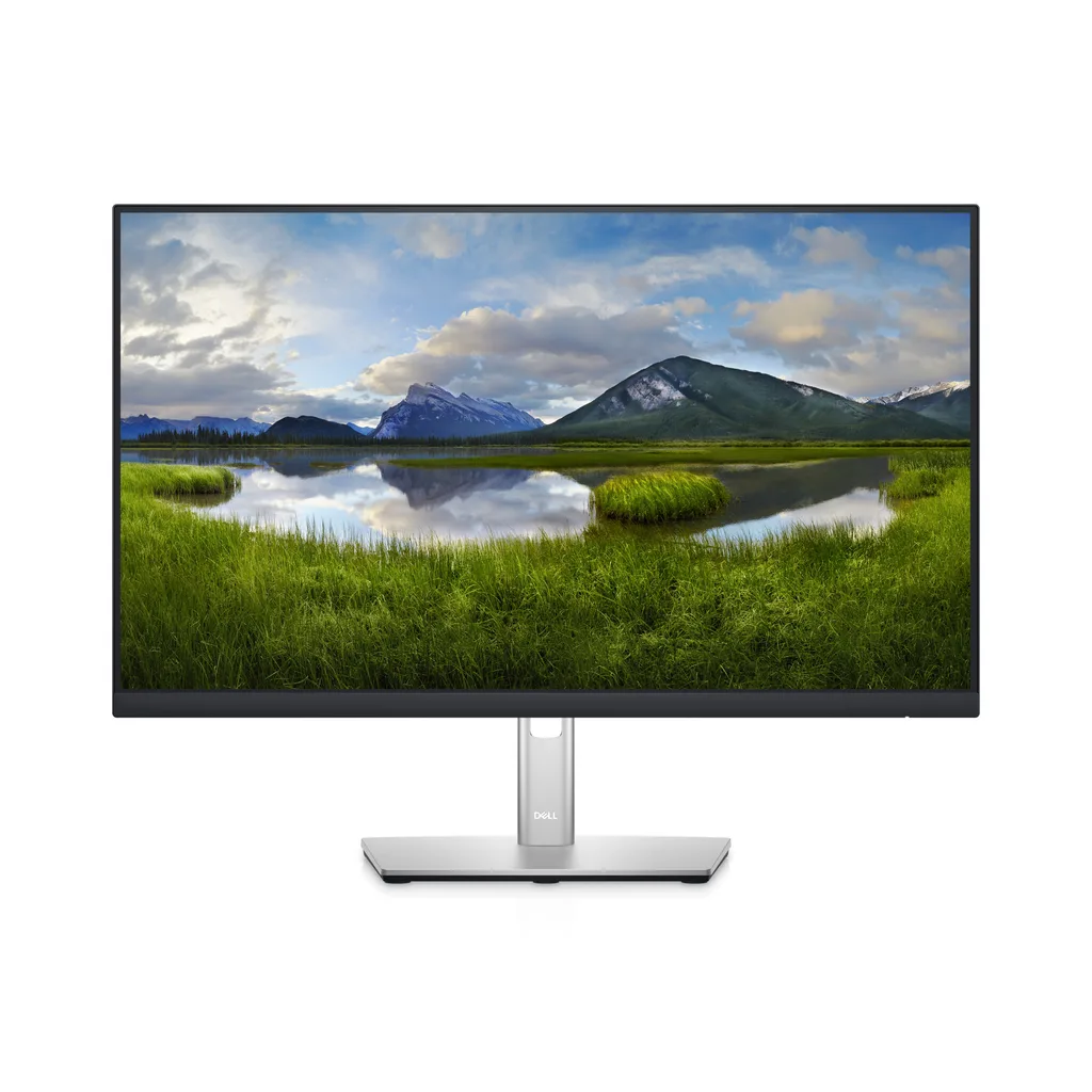 Dell P2422HE