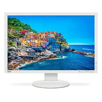 NEC PA243W