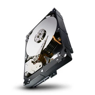 Seagate ST2000NM0024